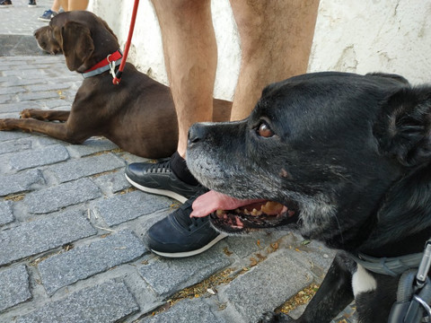 Balea Travel-格拉纳达必去景点