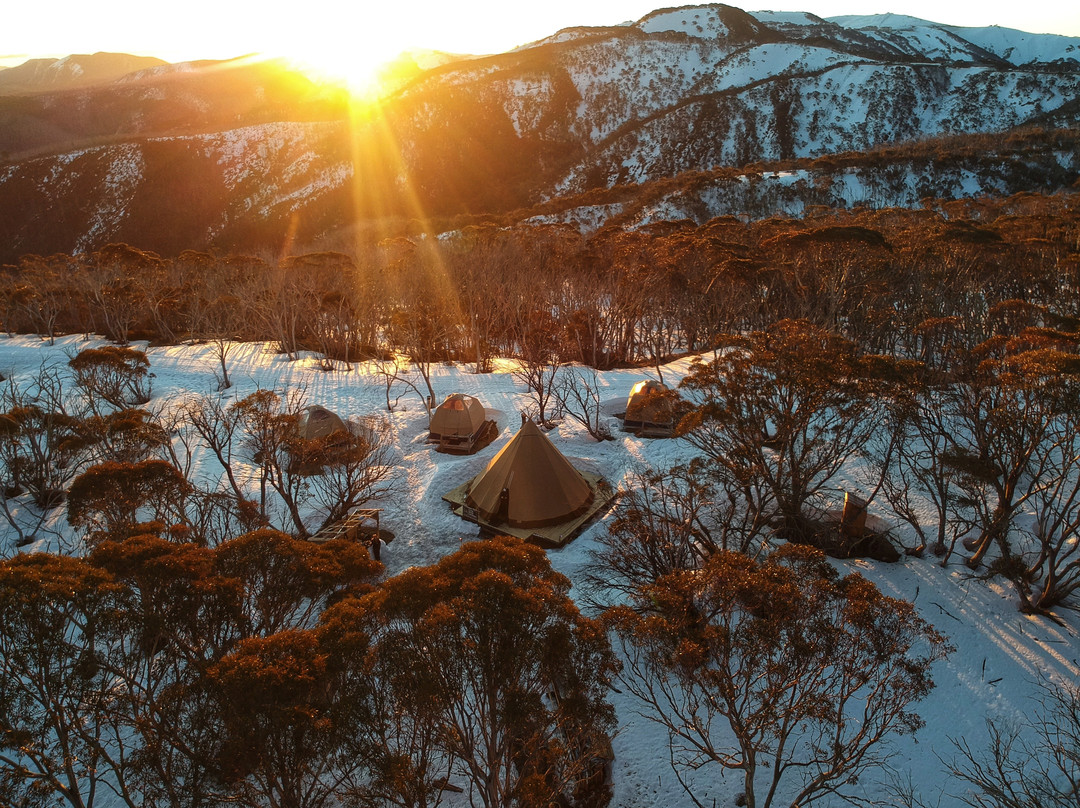 Alpine Nature Experience-Mount Hotham必去景点