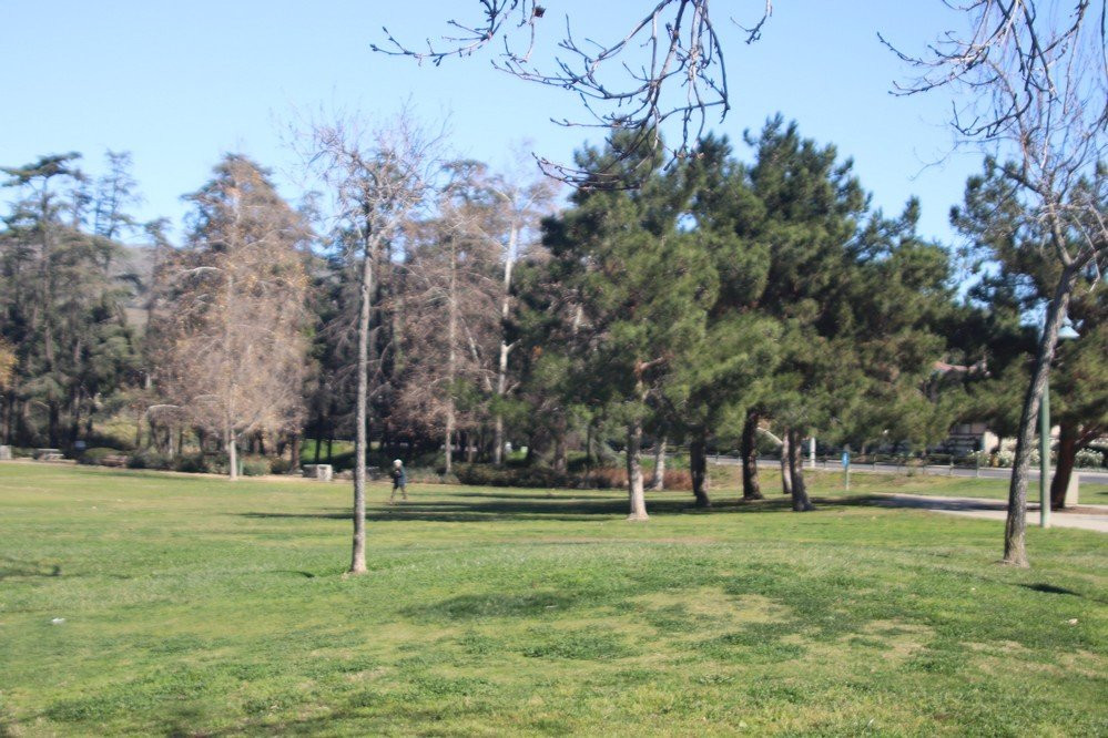 Cedar Grove Park-Tustin必去景点