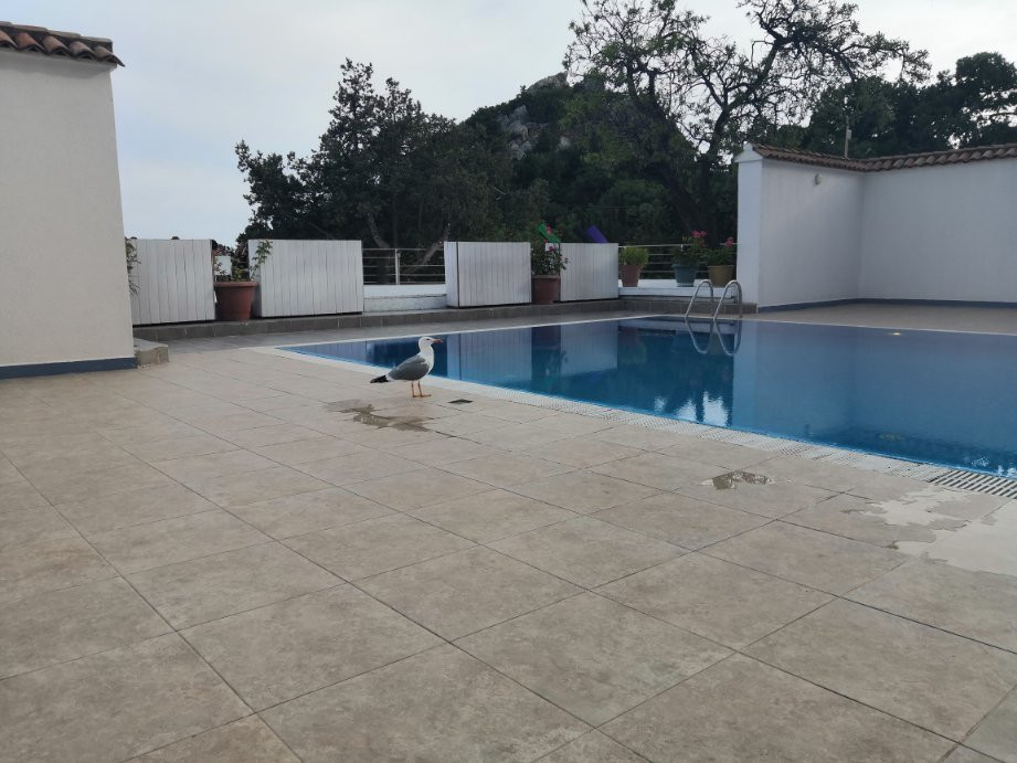 Park Hotel Simeiz主图