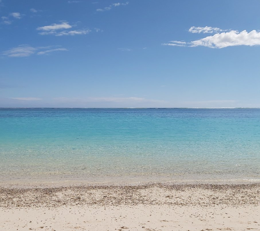 Ningaloo Marine Park-珊瑚湾必去景点