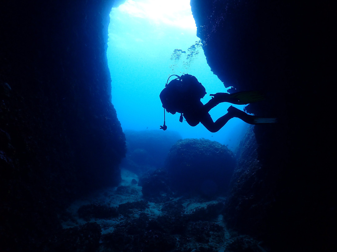 Kuşadası zeus dalış merkezi-库萨达斯必去景点