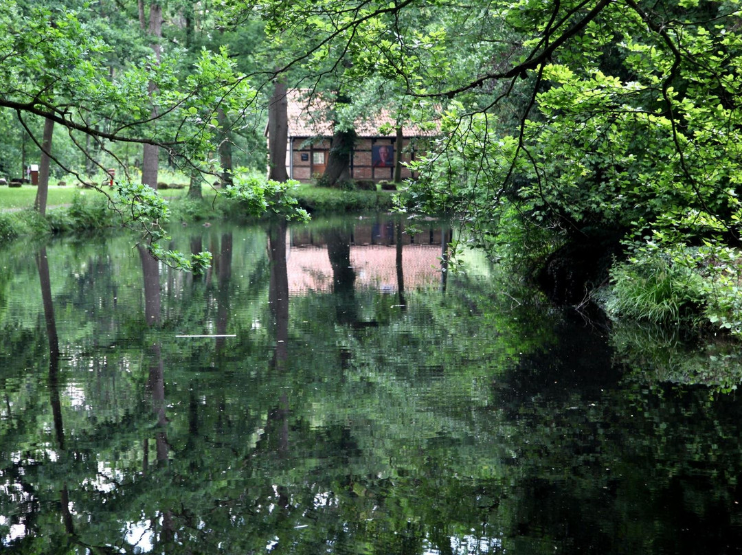 Vila Vita Burghotel Dinklage主图