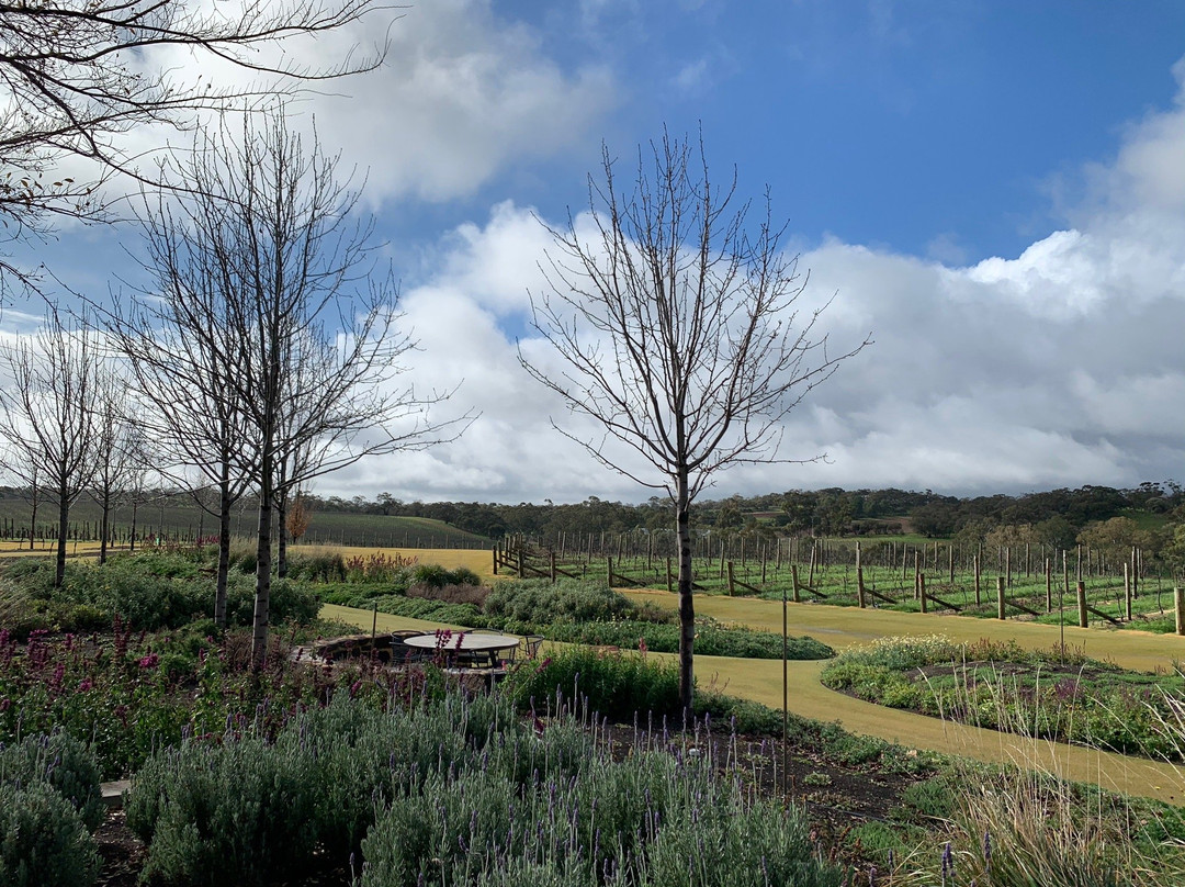 Barossa Valley Estate景点图片