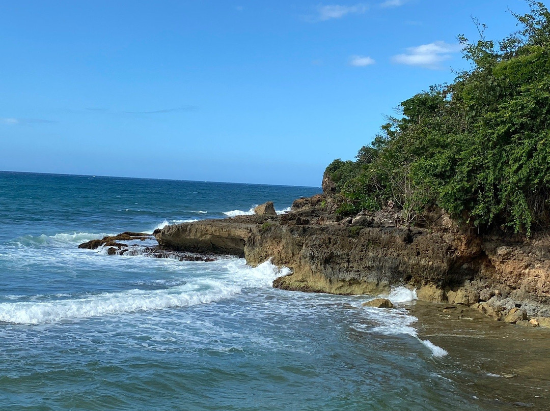 Ruinas de Puerto Hermina景点图片