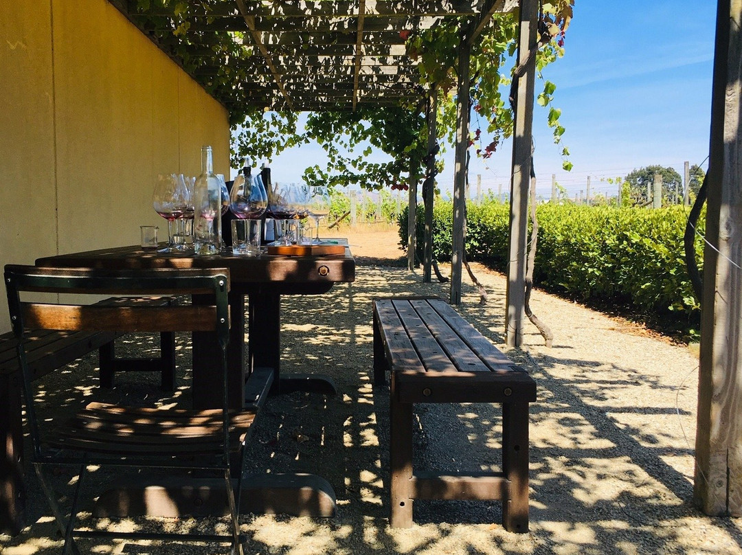 La Strada del Vino景点图片