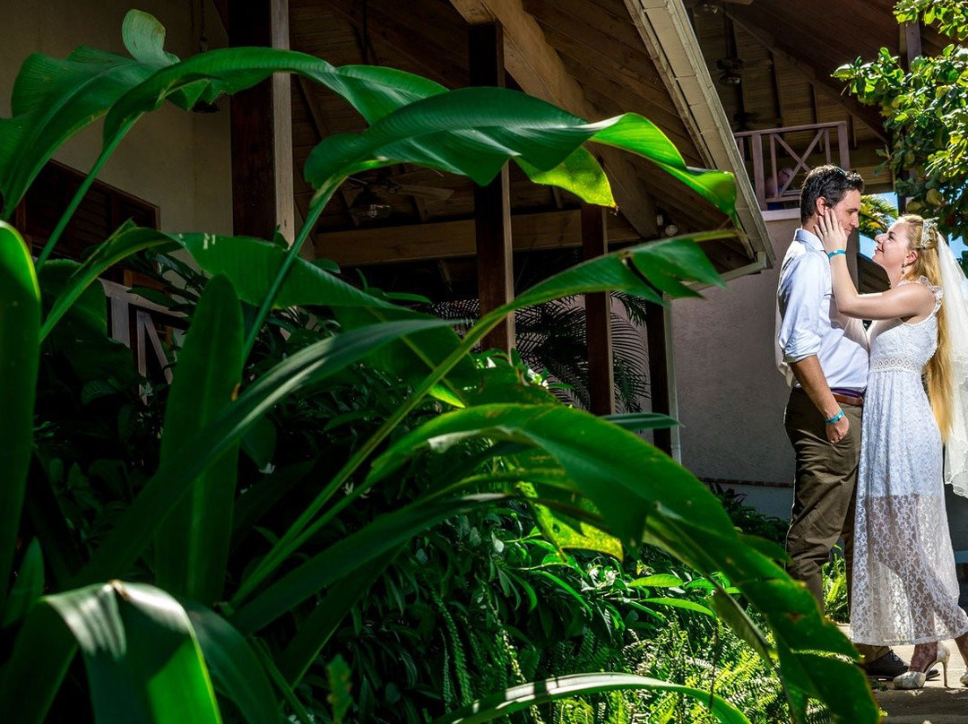 Montego Bay Photographer LLC-蒙特戈贝必去景点