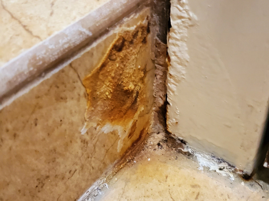 Best Western Plus Jacksonville West主图