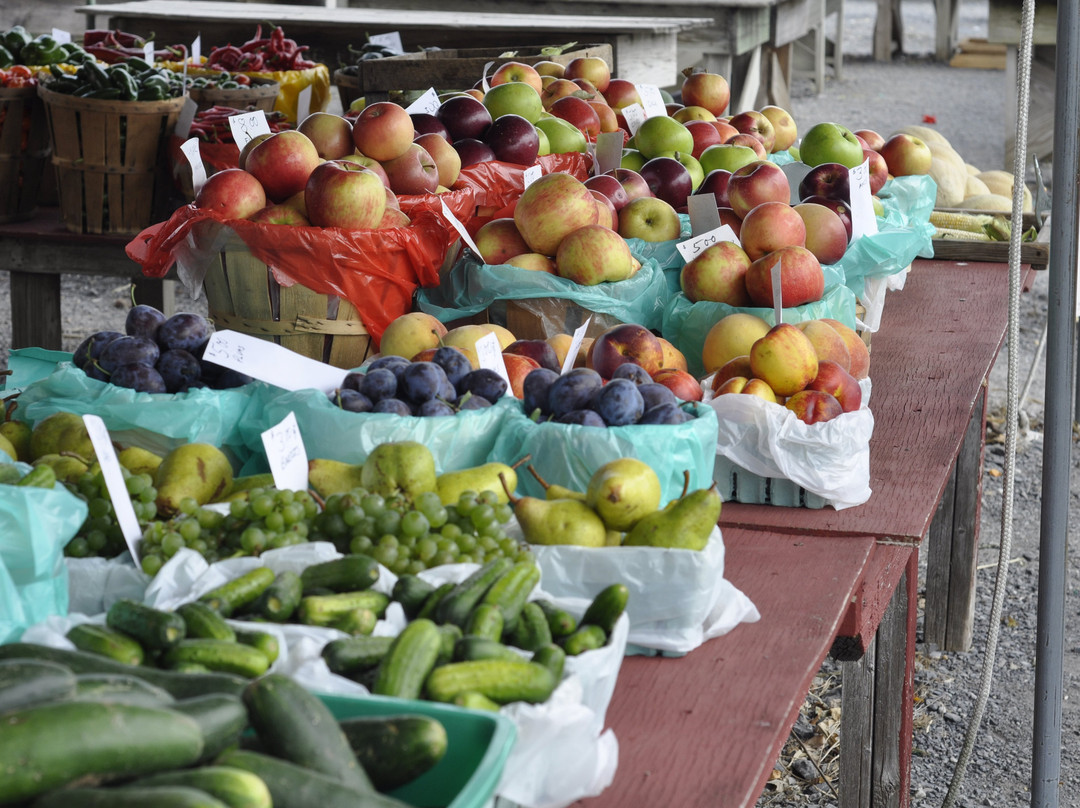 Lewisburg Farmers Market景点图片