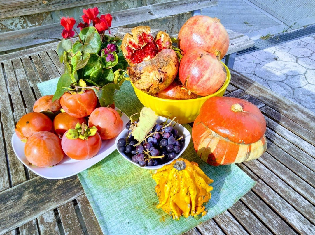 Agriturismo Allo Scoglio - Azienda Agricola主图