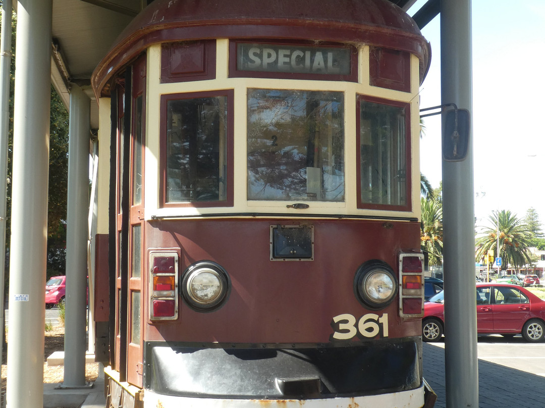 Wigley Reserve - Glenelg-格莱内尔格必去景点