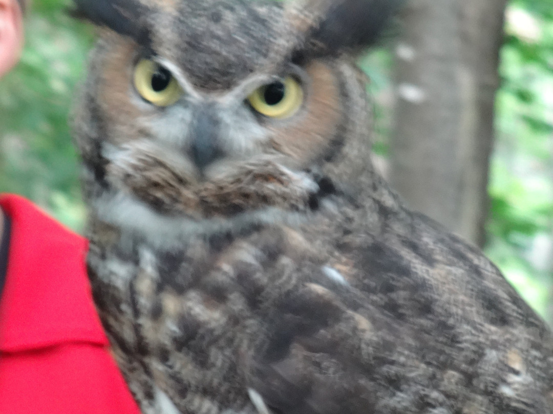 Chouette a voir!-Saint-Jude必去景点