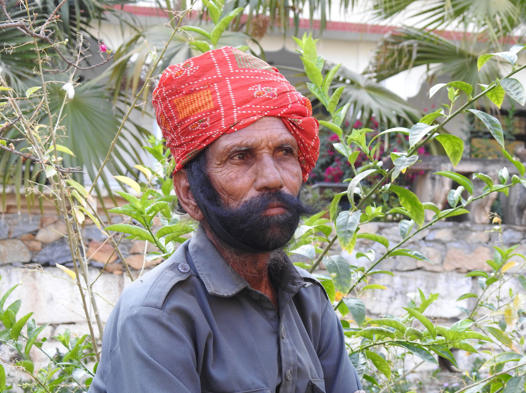 Darbargadh Poshina主图