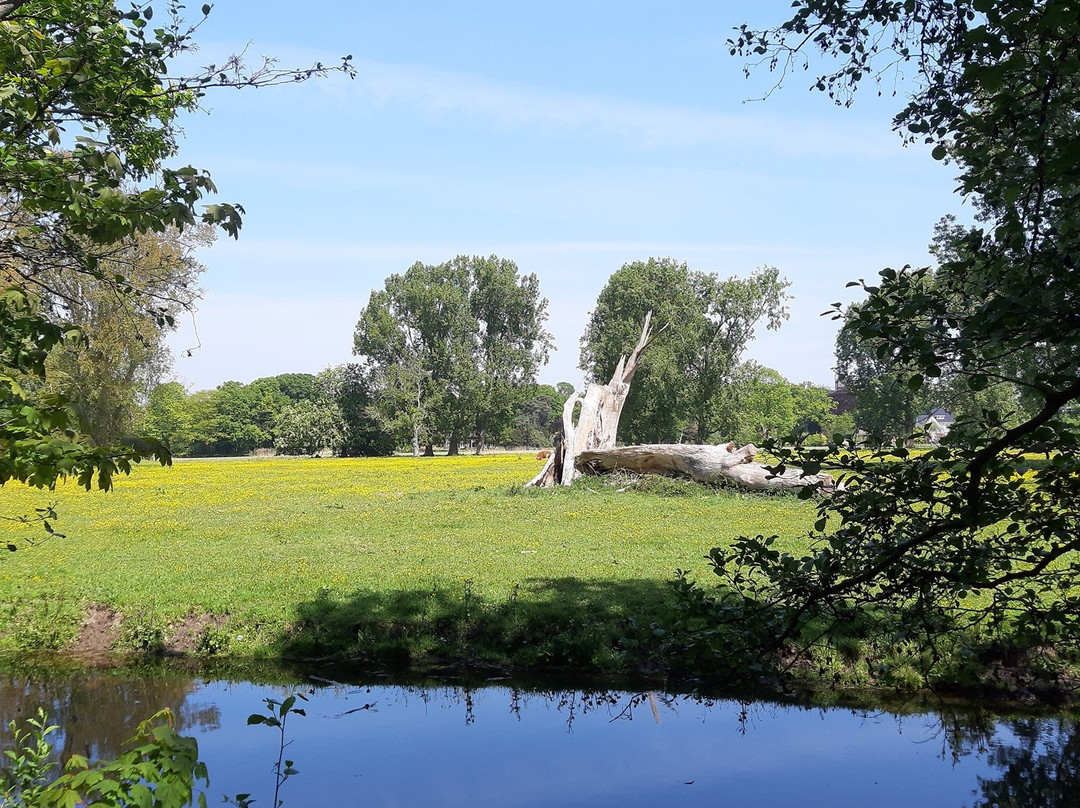 Wandelbos Groenendaal景点图片
