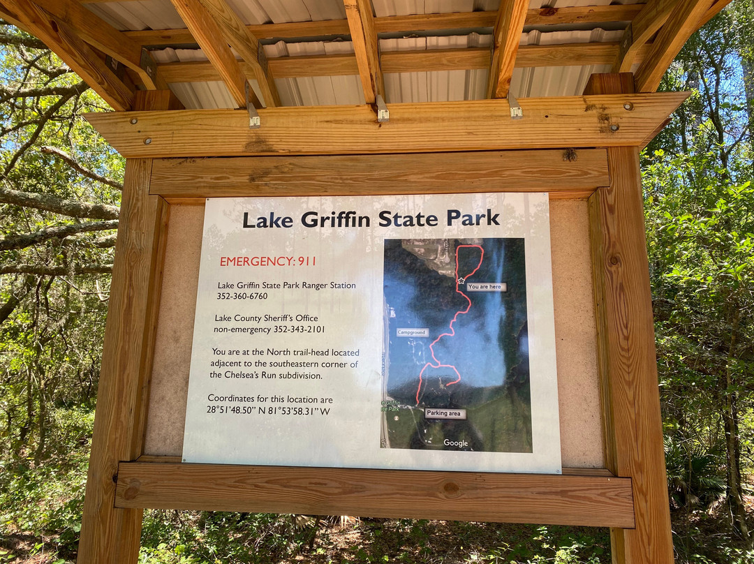 Lake Griffin State Park景点图片