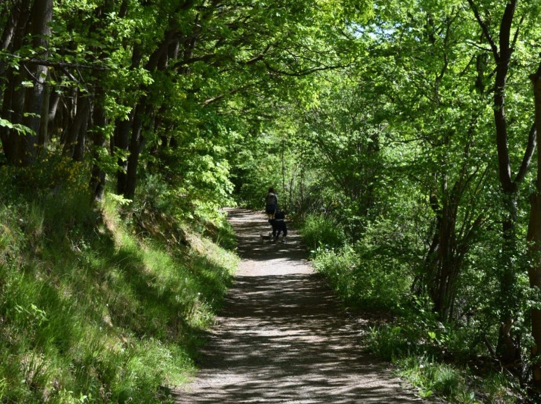 Nationalpark-Zentrum Eifel-Schleiden必去景点