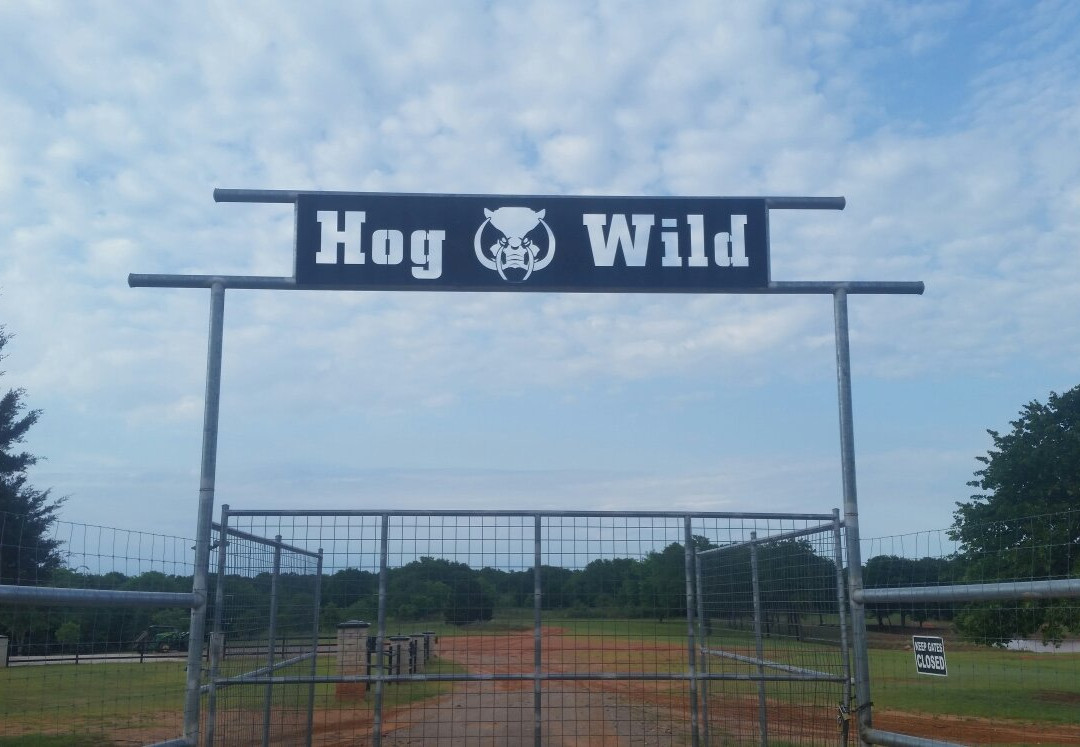 Hog Wild景点图片