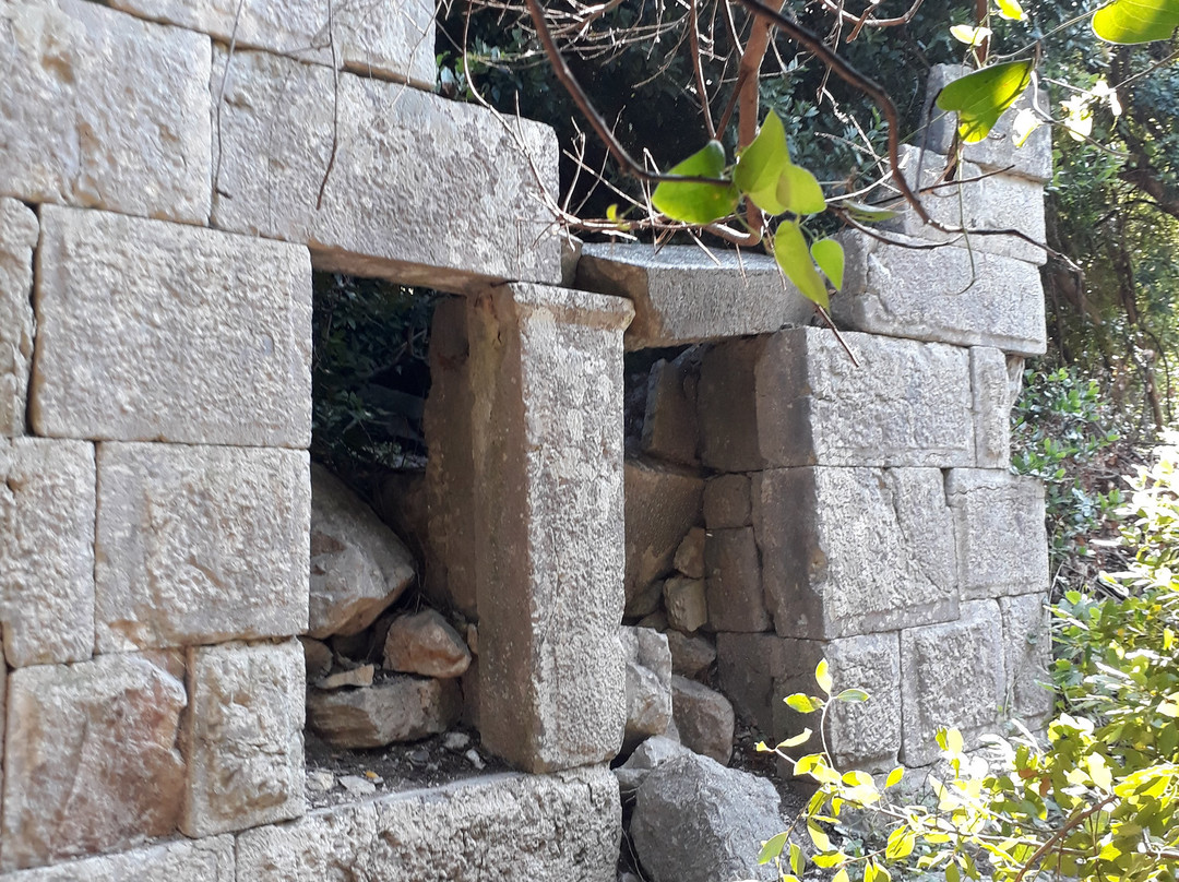 Olympos Archeological Site景点图片