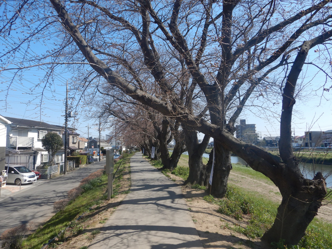 Motoarakawa Riverbank景点图片