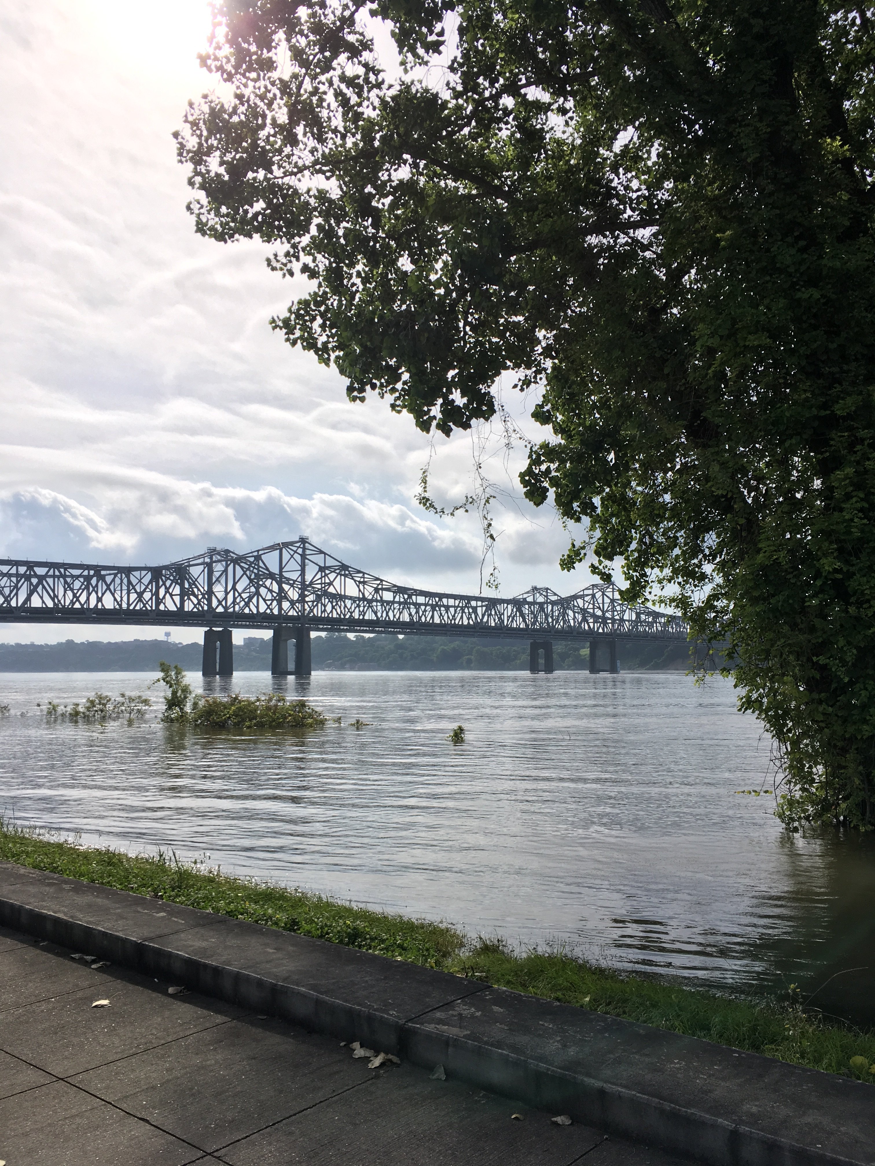 TownePlace Suites by Marriott Vidalia Riverfront-portrait