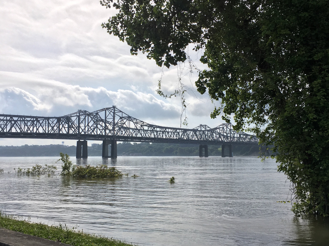 TownePlace Suites by Marriott Vidalia Riverfront主图