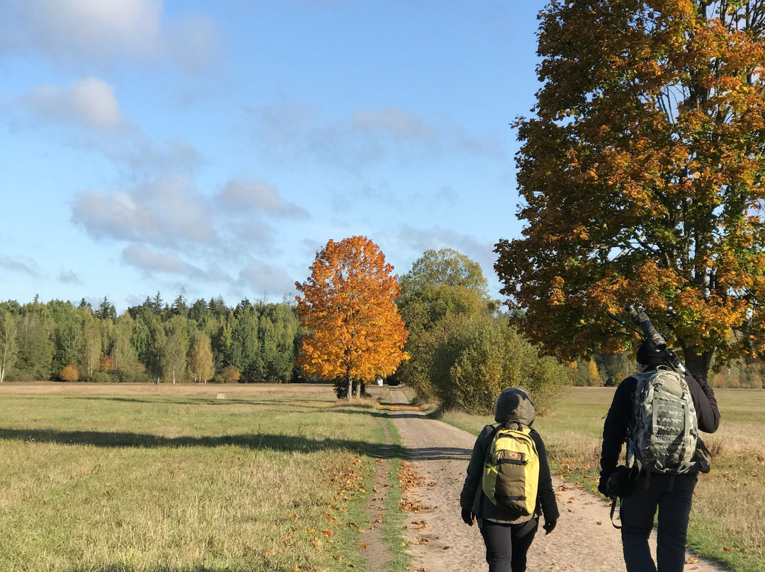 Wild Poland Wildlife Tours景点图片