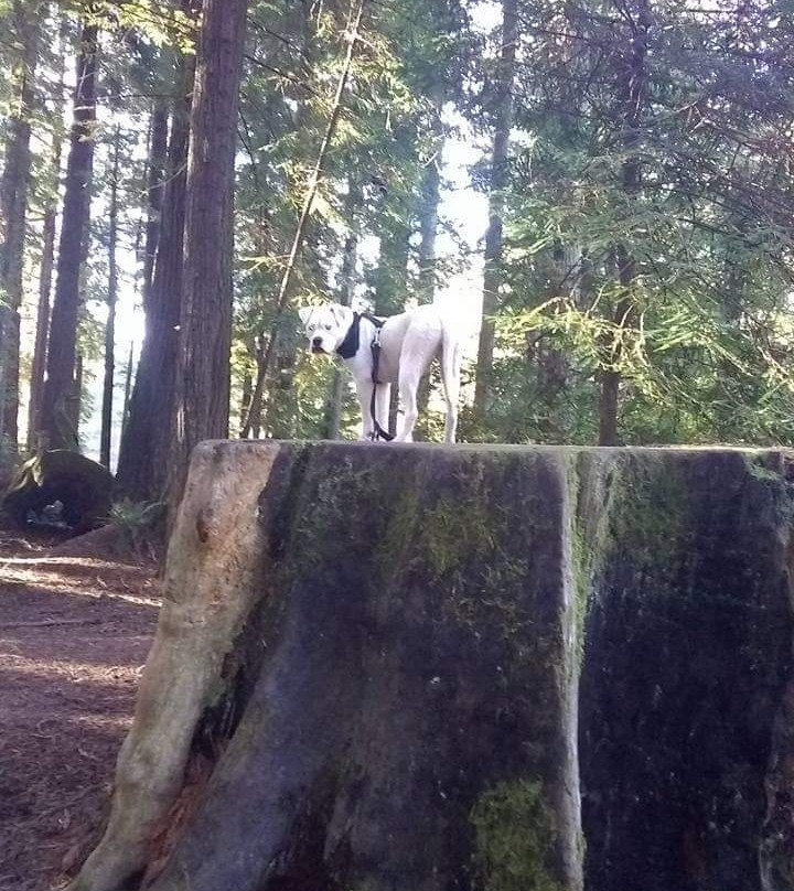 Redwood Highway-尤里卡必去景点