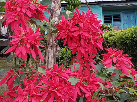 Majayara park-Baracoa必去景点