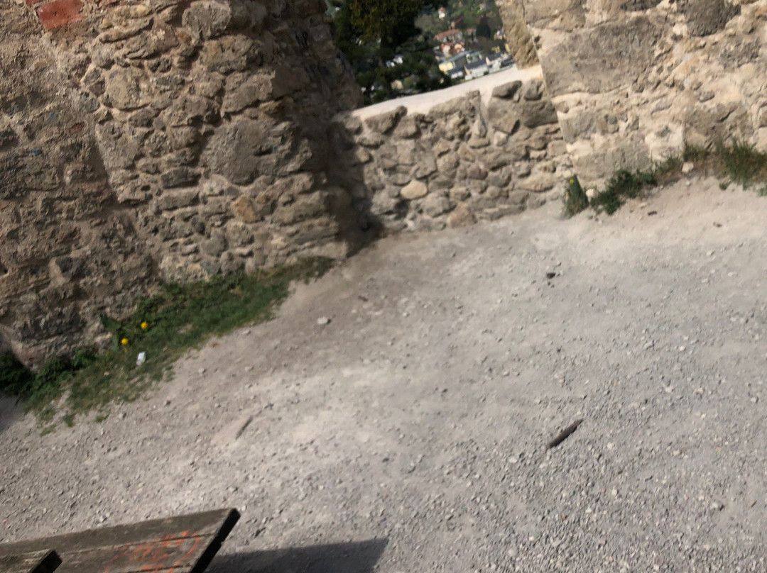 Burgruine Mödling-默德林必去景点