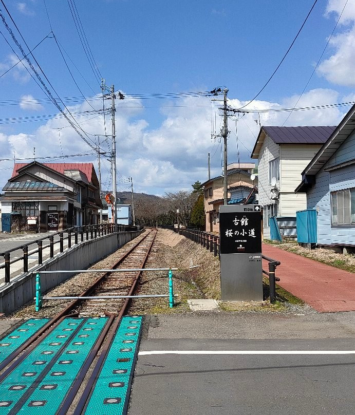 Meiji Hyakunendori景点图片