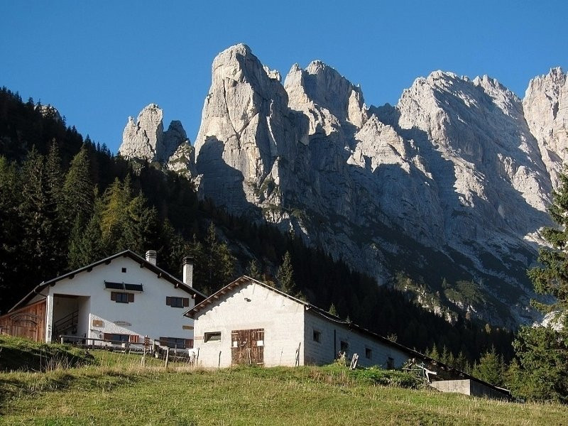 Malga Framont景点图片