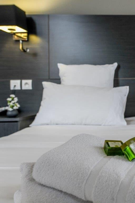 Logis Hôtel & Restaurant La Villa Bleue主图