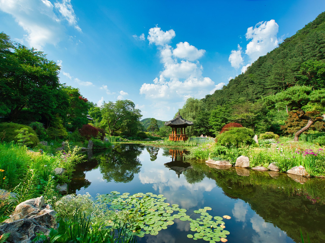 The Garden of Morning Calm景点图片