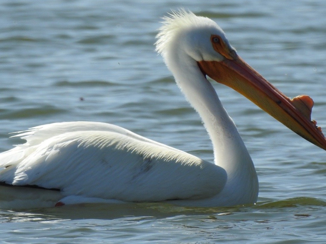North Sterling State Park-Sterling必去景点