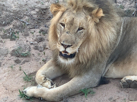Lowveld Odyssey-霍德斯普鲁特必去景点
