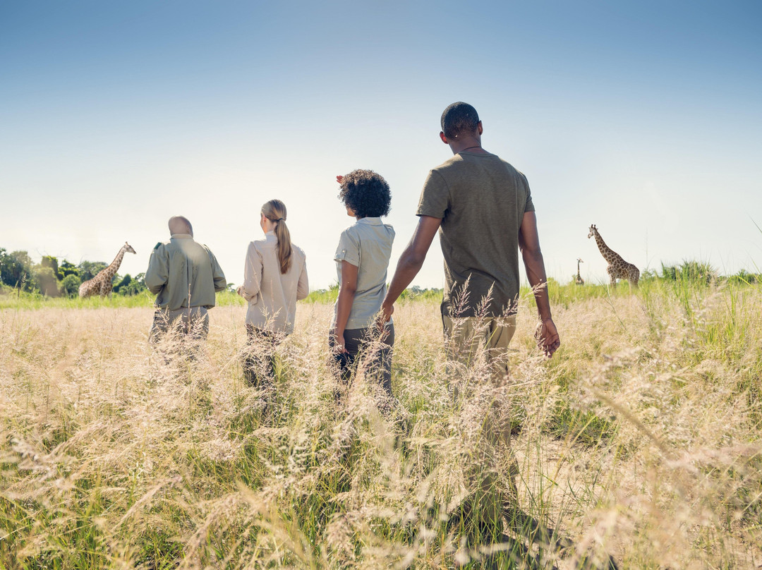 The Real South Africa-约翰内斯堡必去景点