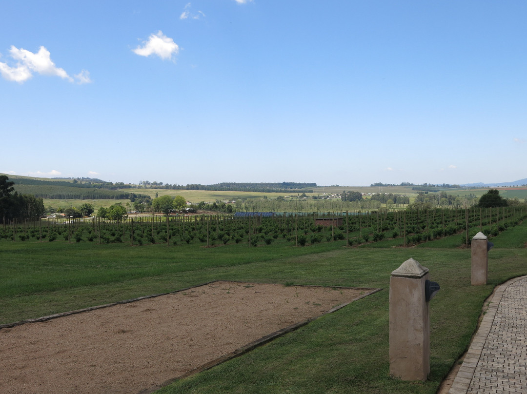 Highgate Wine Estate景点图片