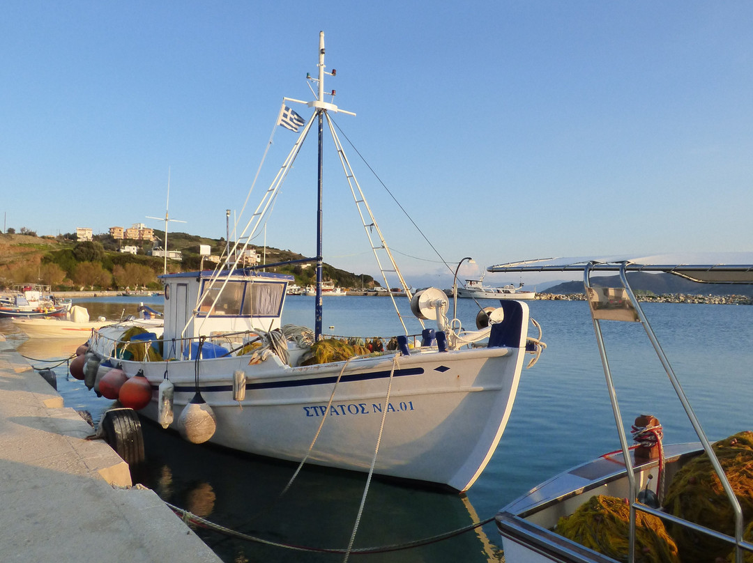 Triantafilia Guesthouse主图