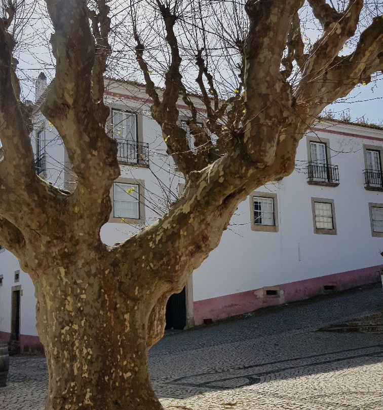 Pelourinho-奥比都斯必去景点