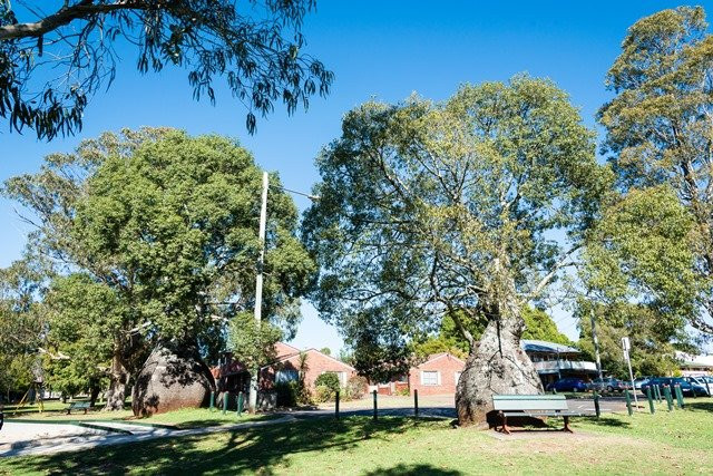 Lake Annand Park-图沃柏必去景点