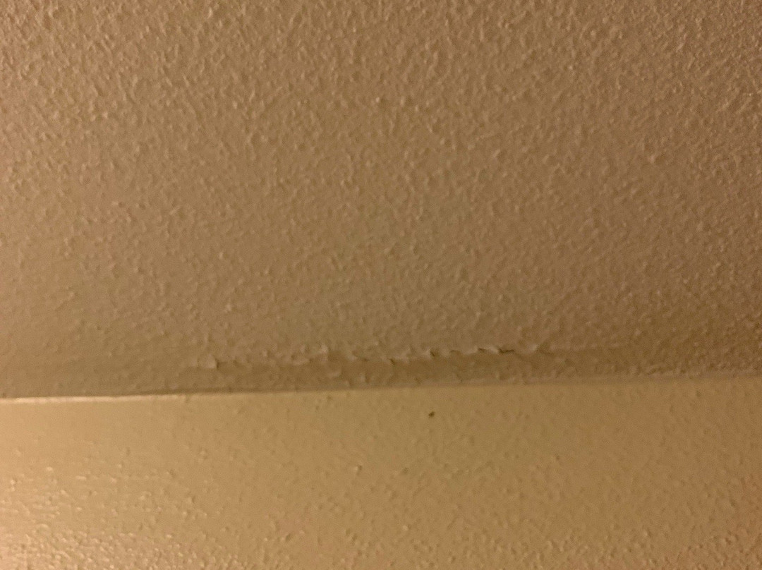 Hampton Inn Wichita Falls-sikes Senter Mall主图