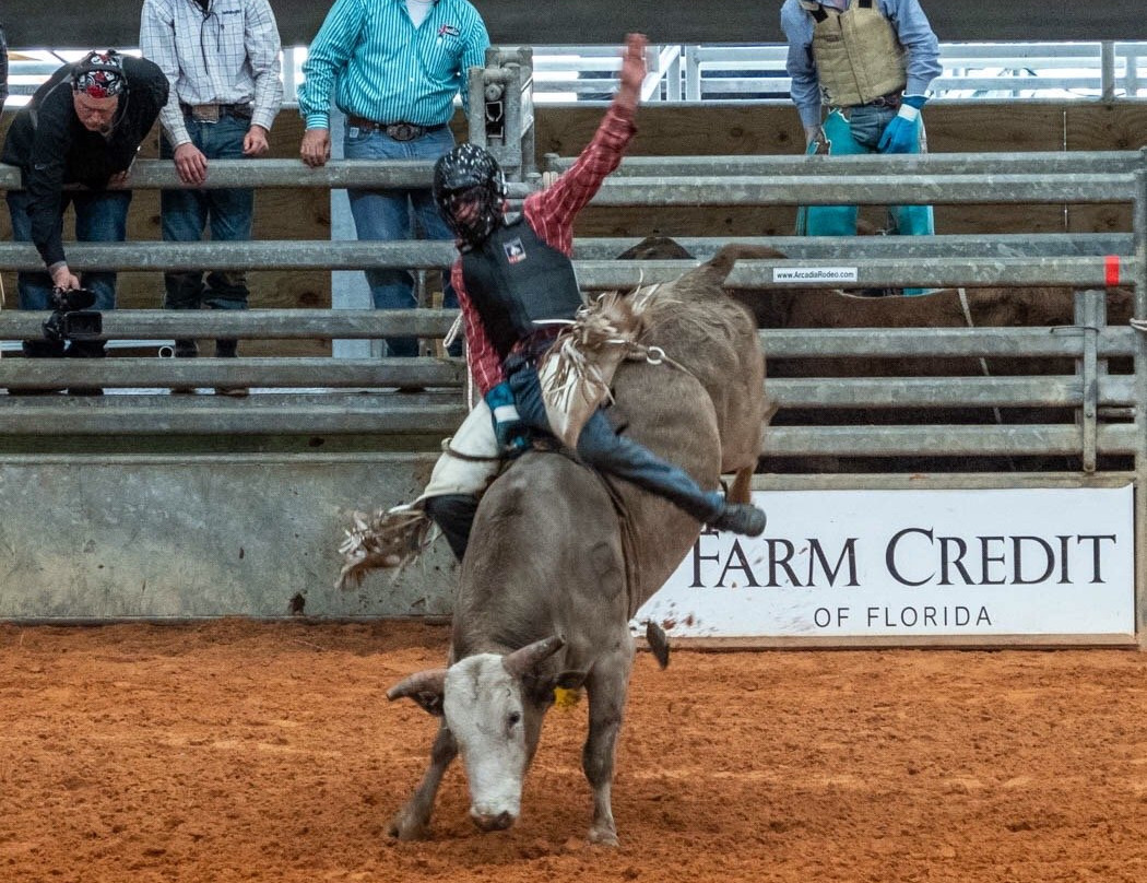 Arcadia All-Florida Championship Rodeo-阿卡迪亚必去景点