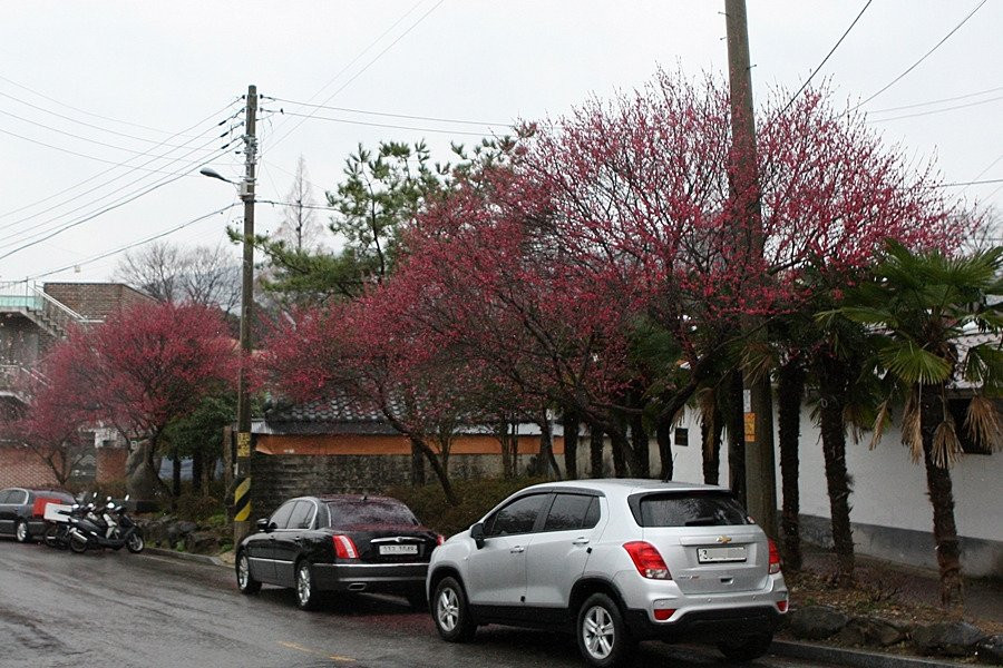 Maegokdong Tammae Village