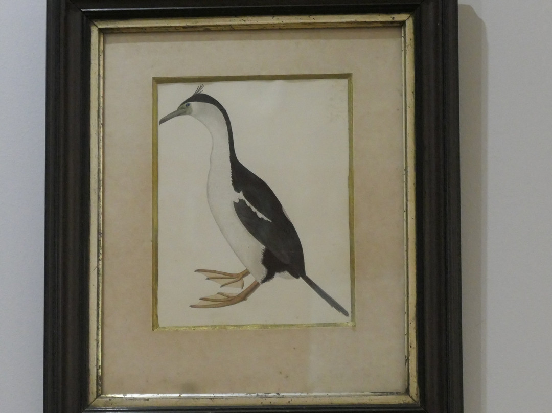 Museo de la Exploracion Rudolph Amandus Philippi-瓦尔迪维亚必去景点