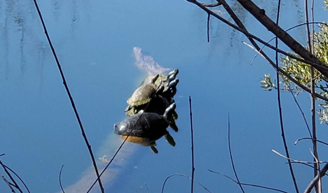 Gilcrease Museum-塔尔萨必去景点