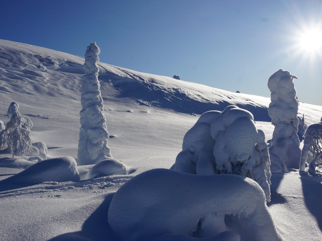 Sallatunturi Snowshoe Route-Salla必去景点