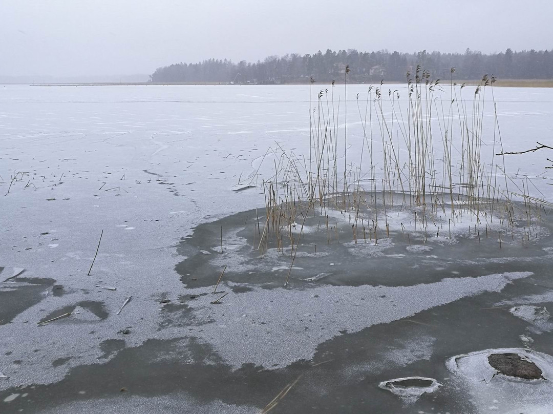 Laajalahti Nature Reserve景点图片