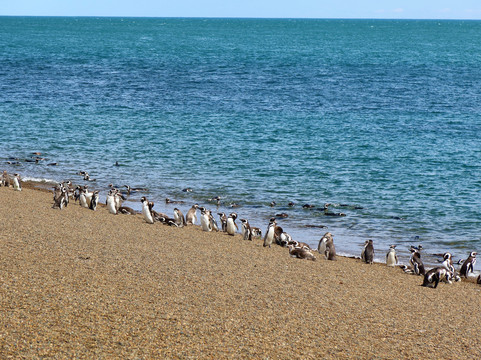 Reserva Natural Estancia San Lorenzo-马德林港必去景点