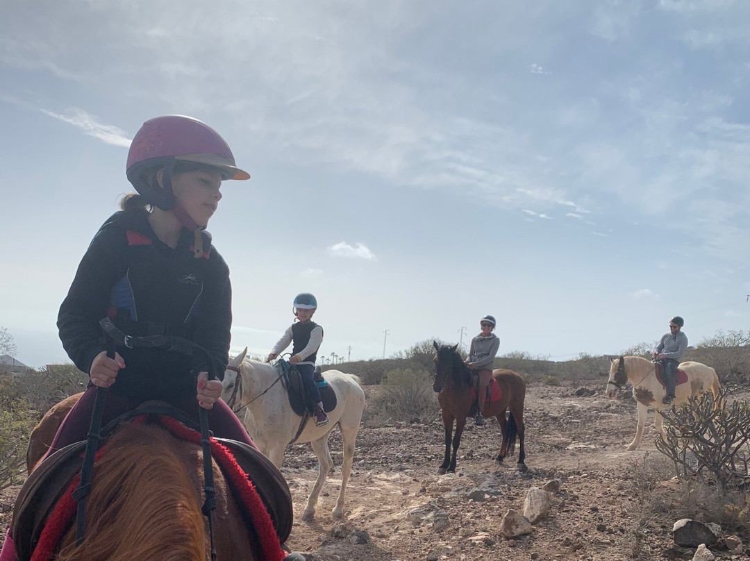 Horse Riding Tenerife-阿罗纳必去景点