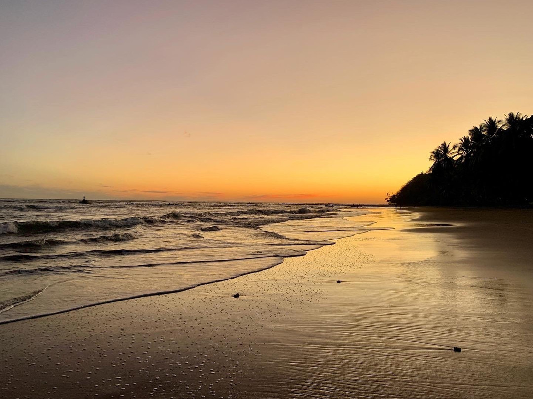 Hotel Rancho Coral主图